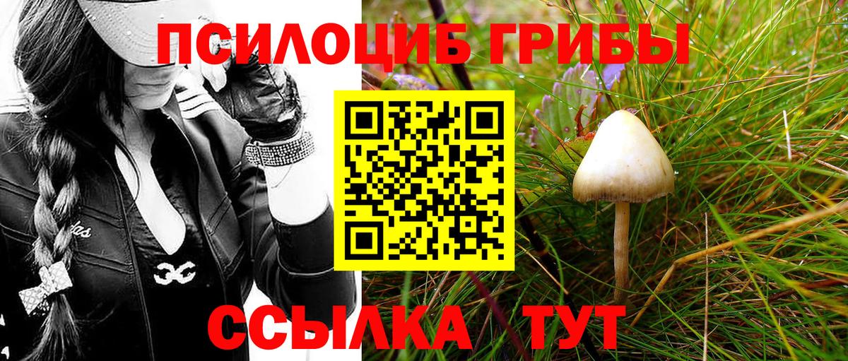 Псилоцибиновые грибы ЛСД  Галлюциногенные грибы MAGIC MUSHROOMS  Жигулёвск  наркота  Вход с VPN 